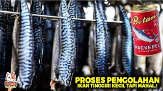 Intip Proses Penangkapan Ikan Makarel Berteknologi Modern Hingga Dikelola Menjadi Makanan Kalengan