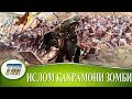 ИСЛОМ ҚАХРАМОНИ (ЗОМБИ) КИМ БЎЛГАН