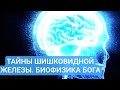 ЭПИФИЗ. БИОФИЗИКА БОГА. 02.02.2026.