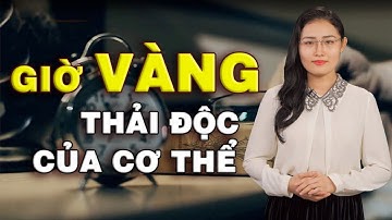Muốn sống lâu sống khỏe, đừng quên lịch biểu làm việc của cơ quan nội tạng