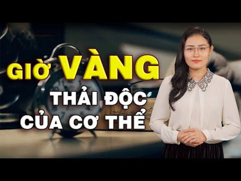 Video: Lược đồ Chu kỳ làm việc là gì?