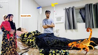 Download Lagu Scorpion sting of the second wife and the first wife's opposition to taking her to the hospital MP3 Download Lagu Scorpion sting of the second wife and the first wife's opposition to taking her to the hospital MP3