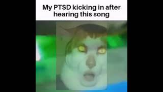 My Ptsd Kicking In After Hearing This Song (Cat Singing Monday Left Me Broken)