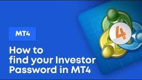 How to Set your MT4 Investors Password on PC
