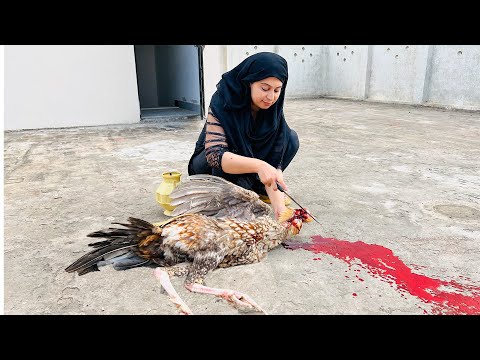 Special Iftar Program | How To Slaughter A Big Desi Murgha