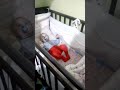 Папа укладывает сына спать... Это не мама)))