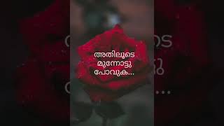 Good night quotes #Malayalam quotes whatsp status #