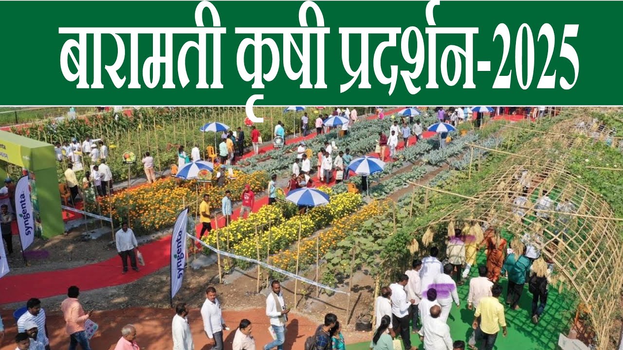 कृषिक 2025 | बारामती येथे भरलेले भारतातील सर्वात मोठे प्रात्यक्षिके व कृषी प्रदर्शन | AGRI SHOW |