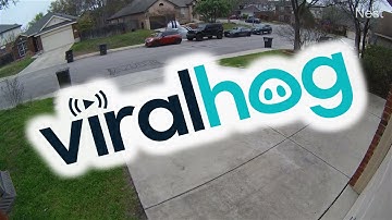 FiFi Sees A Squirrel And Can