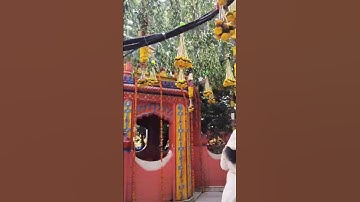 navratri song status#shortsviral#Rajrappa mandir#durgapuja2024