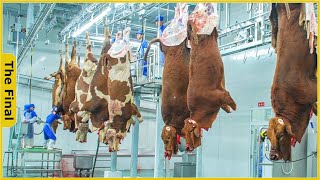 Incredible Modern Cowhide Processing Factory Technology | Food Processing Machines