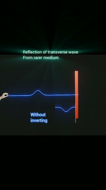 Reflection of transverse wave from rarer medium|| #physics #science #physicsanimation
