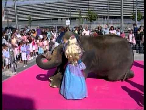 la princesa de los animales