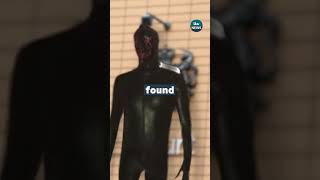 Somerset Gimp Found Guilty Of Two Offences