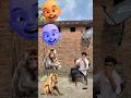 बंदर मामा आए पेंट पजामा ले देखो कुत्ता आया फिर बिल्ली आई monkey cat dog funny vfx story