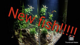 NEW FISH WATERBOX AQUARIUM