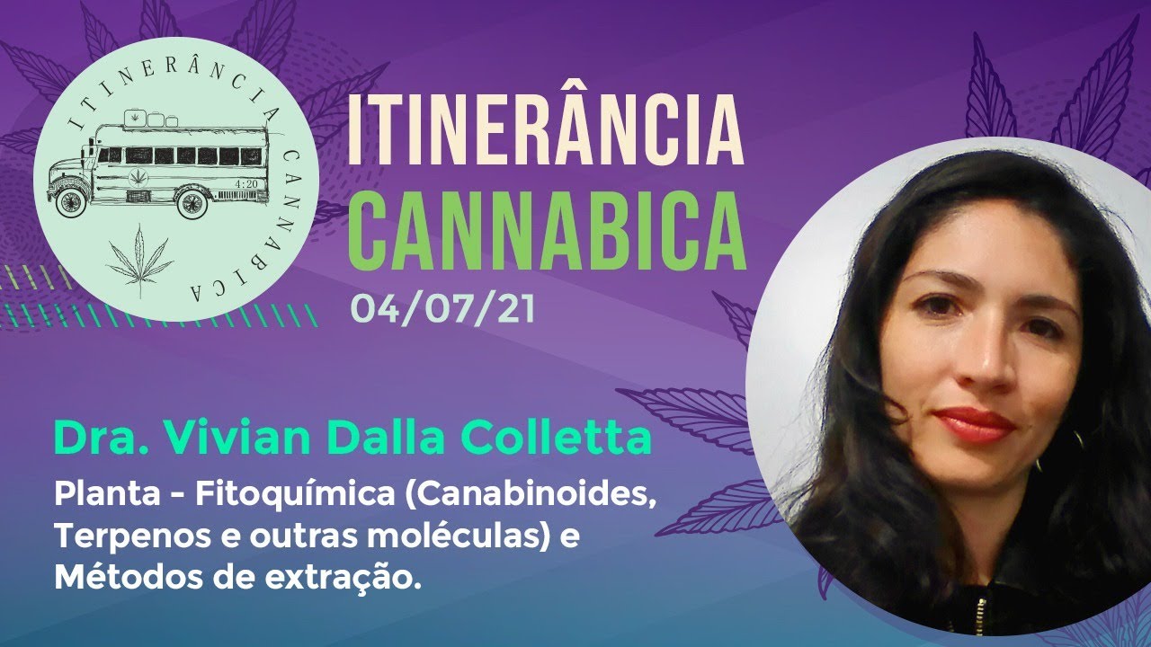 [Aula #12 Itinerância Cannabica 2021] Cannabis - Cannabinoides, terpenos e métodos de extração