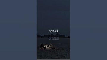 فخلف من بعدهم خلف أضاعوا الصلاة واتبعوا الشهوات فسوف يلقون غيا#وديع اليمني#تلاوة خاشعه