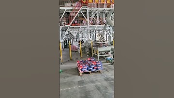 Invest in Industrial Robots: Cost - Saving Path to Efficiency - Driven Growth.#machine #robot