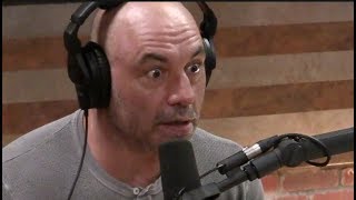 Joe Rogan | Mens Rights Activists Have a Point About Divorces