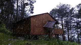 Дождевой лагерь в деревянном доме — сильный дождь и шторм — автономный домик