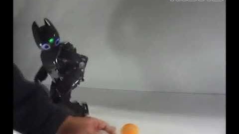 ROBOTIS Humanoid robot, DARwIn-OP - Soccer mode