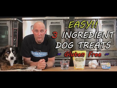 Video: Glutenfri Apple Cinnamon Dog Treat Recipe