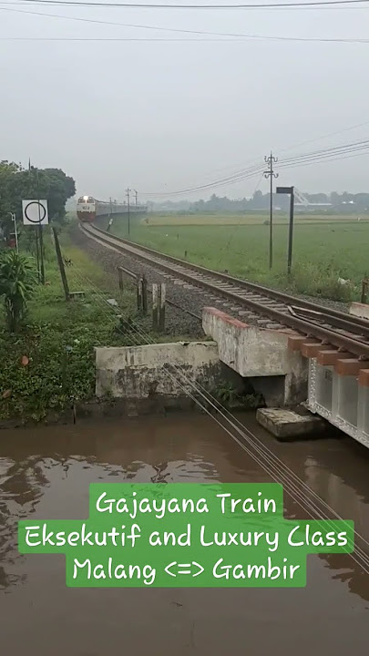 Gajayana Train Arrives Kepanjen Station (12 Nov 2022) #gajayana #trains #shorts