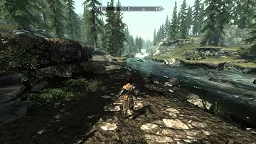 Skyrim Animation Bug