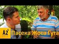 На пасеке у Жоса Гута (#JosGuth, Люксембург): его пчел #Бакфаст знают во всей Европе