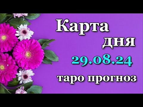 КАРТА ДНЯ -