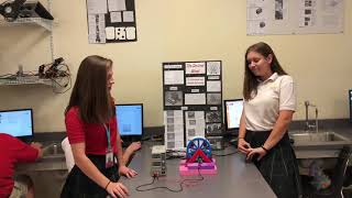 Engineering I Project- Prototype Ferris Wheel