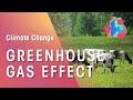 Greenhouse Gases and Their Impact on Climate Change