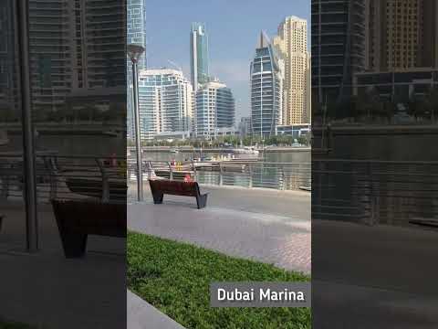 Relaxing luxury life in Dubai Marina 🇦🇪 🍷🍸🍹