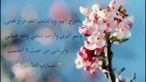 الشيخ سعد الغامدي - سورة يس والصافات والرحمن والجن