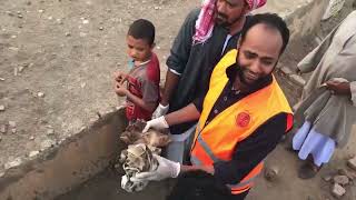 تنظيف مقابر مدنية ادفو باسوان  واخراج اكثر من 100 عمل علي #جماجم وحجابات وملابس وورق في ساعتين
