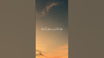 كروما شاشة *{ اخر جنا لهم دابة من الأرض  } * سوداء قران كريم * القارئ عبدلرحمن مسعد* سورة النمل