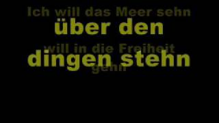 Massendefekt - Wellenreiter (mit lyrics)