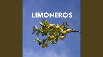 Thumbnail of Limoneros