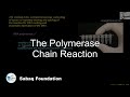 The polymerase chain reaction biology lecture  sabaqpk