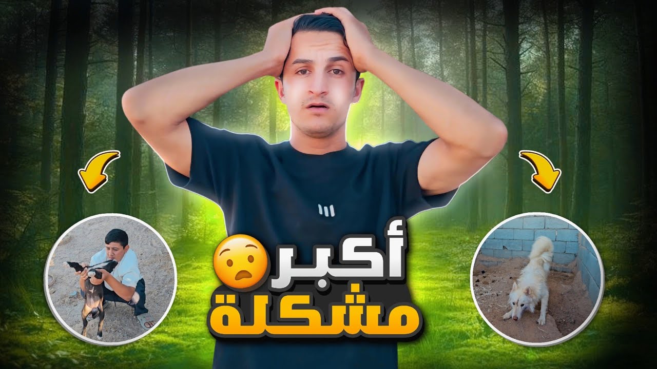 #صدمة ريفه سوت أكبر مشكلة نهت حياة الجرو !! رد فعل أمه عجيب 😧🔥
