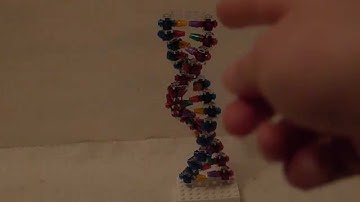 LEGO Double helix DNA Moc (more accurate)