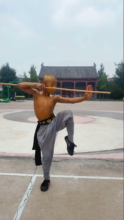 Shaolin Yin Shou Gun 阴手棍