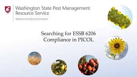 ESSB 6206 Searches in PICOL