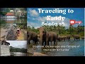 &quot;Enchanting Sri Lanka: Elephant Orphanage and Temple of the Tooth | Unveiling Majestic Wonders&quot;