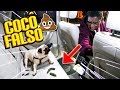 💩💩 TROLLAGEM DO COCÔ FALSO NO CARRO DO MEU PAI !! ‹ AUTHENTIC  ›