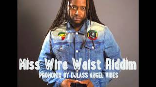Vignette de la vidéo "Miss Wire Waist Riddim Mix Feat. Shuga, Duane Stephenson, (Penthouse Records) (Oct. Reifx 2017)"