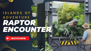 Meet Blue - Raptor Encounter At Universal Studios Islands Of Adventure Orlando Florida Resort