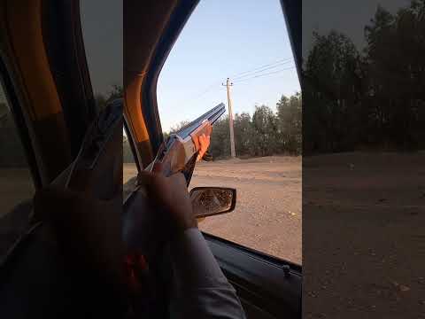 بنظرتون فاصله چن متر بود