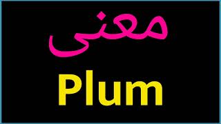 معنى كلمة Plum | الصحيح لكلمة plum | المعنى العربي ل plum | كيف تكتب كلمة plum